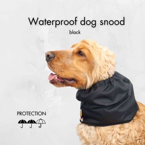 May include: A black waterproof dog snood, designed to protect a dog's neck and ears from rain and wind. The snood is shown on a golden retriever.
