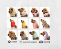 Breathable cotton muslin snood for dog, natural summer cocker spaniel ear protector, cavalier, basset hound, setter ear cover product logo
