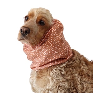 Copper Cotton Dog Snood &quot;Dots&quot;  | Lightweight Cocker Spaniel Ear Protector | Basset Hound Ear Cover | Long | Eared Dog Snood