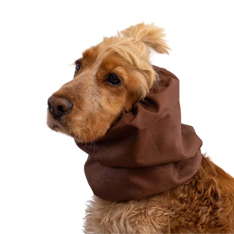 Handmade waterproof dog snood “Chocolate” by Distinguish Me — rich brown fabric, lightweight rainproof ear protector for long-eared dogs like Cocker Spaniel or Basset.