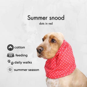 Red Cotton Dog Snood With White Dots | Snood For Basset Hound | Cocker Spaniel Snood | Cavalier Ear Cover | Long-Eared Dog Ear Protector