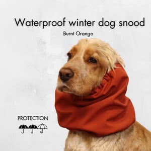 May include: A burnt orange waterproof dog snood, designed to protect your dog from the elements. The snood is made of a water-resistant material and features a comfortable fit.  PROTECTION