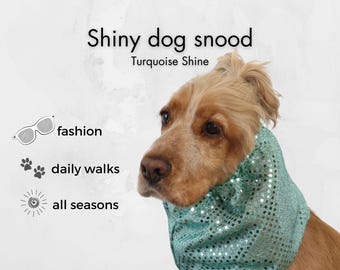 Shiny Dog Snood | Turquoise Shine Ear Cover for Long-Eared Dogs | Poodle, Cavalier