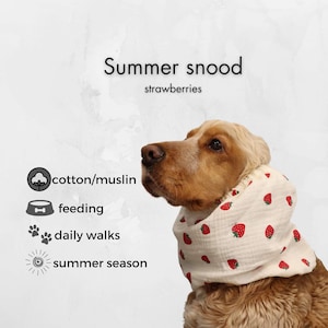 Cotton White Dog Snood "Strawberries"  | Muslin Cocker Spaniel Snood | Basset Hound Snood | Cavalier Snood | Long-Eared Dog Snood