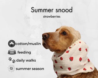Cotton White Dog Snood &quot;Strawberries&quot;  | Muslin Cocker Spaniel Snood | Basset Hound Snood | Cavalier Snood | Long-Eared Dog Snood
