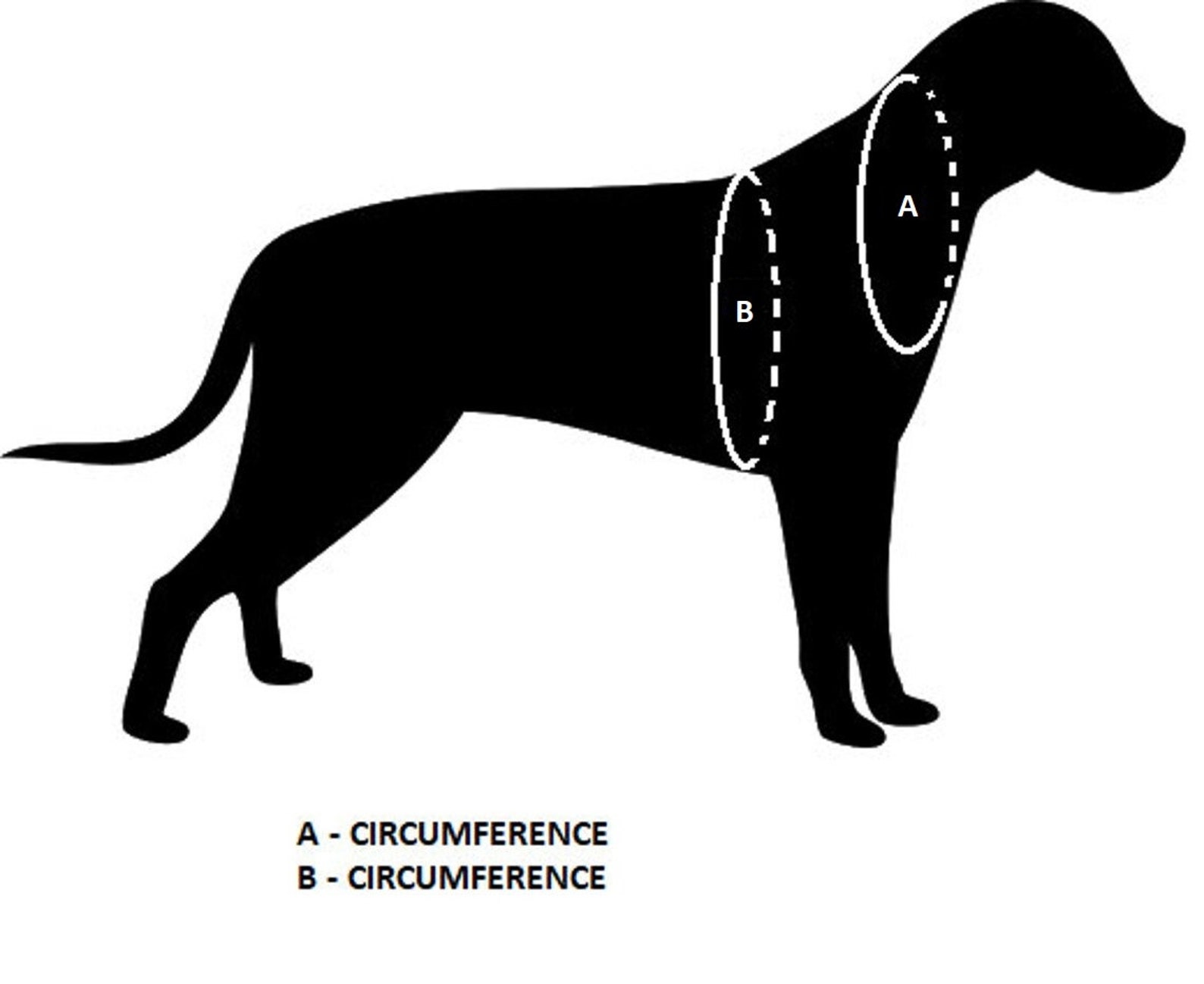 Handmade Y Front Dog Harness Bright Dog Harness Four Etsy