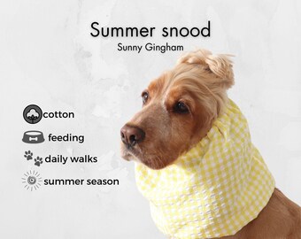 Yellow Gingham Dog Snood for Beagles and Dachshunds | Cotton Ear Cover for Summer Walks