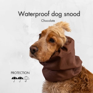May include: A brown dog wearing a chocolate-coloured waterproof snood. The image text reads "Waterproof dog snood" and "Chocolate". The image also includes the word "PROTECTION" and umbrella icons.