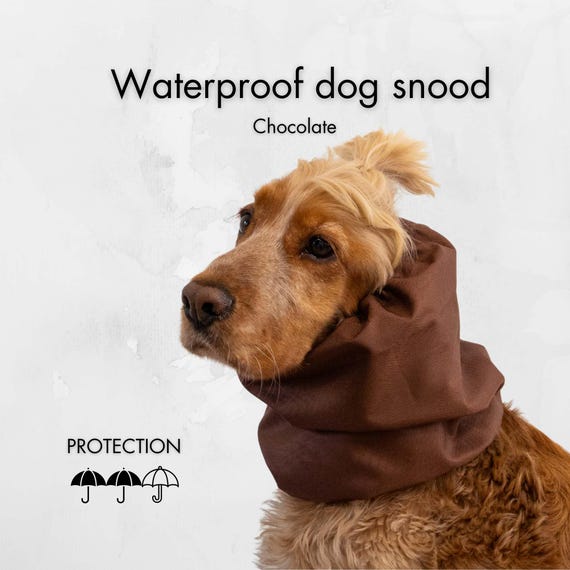 Chocolate Waterproof Dog Snood | Cocker Spaniel Snood | Cavalier Snood | Basset Hound Snood | Brown Dog Snood | Long Eared Dog Snood