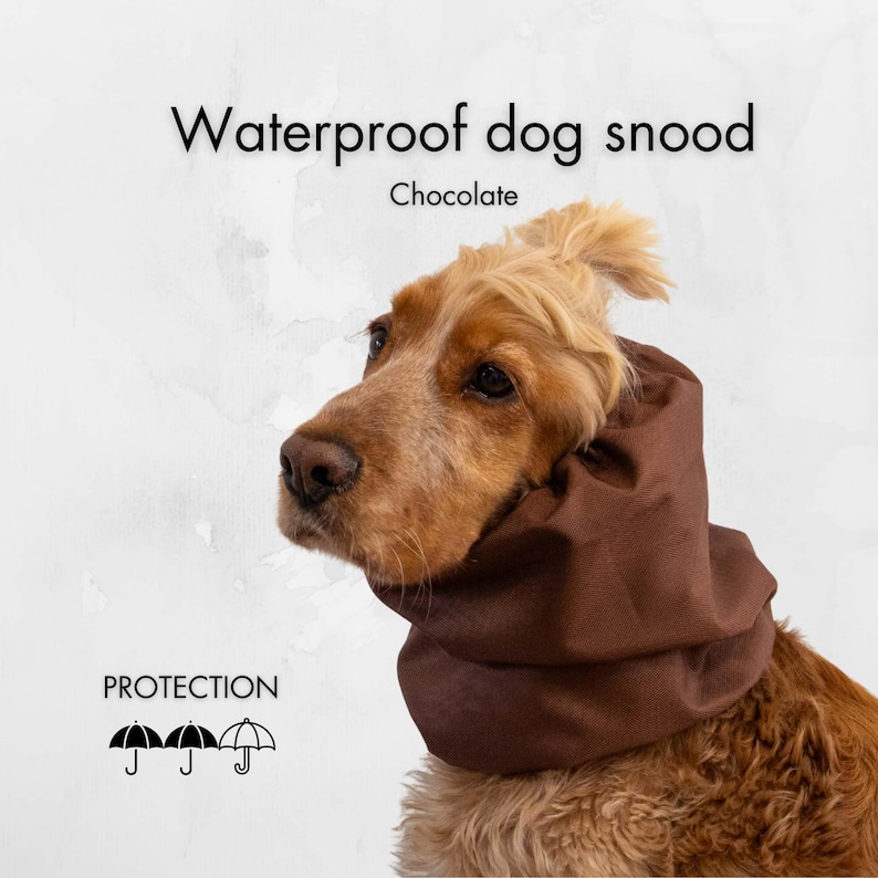 Handmade waterproof dog snood “Chocolate” by Distinguish Me — rich brown fabric, lightweight rainproof ear protector for long-eared dogs like Cocker Spaniel or Basset.