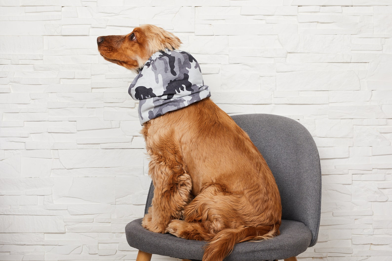 Baumwolle Hund Snood Tarnung Snood für Hund Hund Ohr Etsy