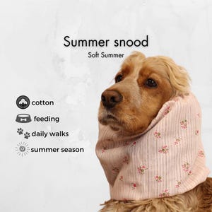 Pastell Rosa Baumwolle Sommer Snood Für Hund | Cockerspaniel | Basset | Kavalier Snood | Langohriger Hund Snood