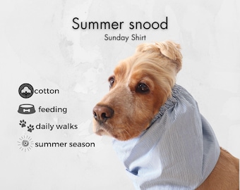 English Cocker Spaniel Feeding Snood | Fine Blue Pinstripe Cotton  Ear Cover