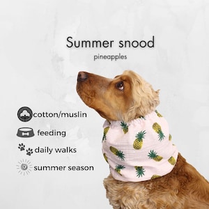 Cotton White Dog Snood &quot;Pineapples&quot;  | Muslin Cocker Spaniel Snood | Basset Hound Snood | Cavalier Snood | Long-Eared Dog Snood