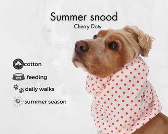 Cavalier King Charles Spaniel Feeding Snood | Red Polka Dot Cotton Ear Cover