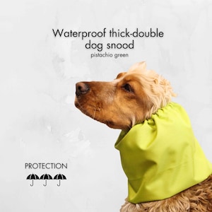 Pistachio Green Waterproof Dog Snood | Thick Poodle Snood | Cocker Spaniel Snood | Springer Snood | Basset Hound Snood | Cavalier Snood