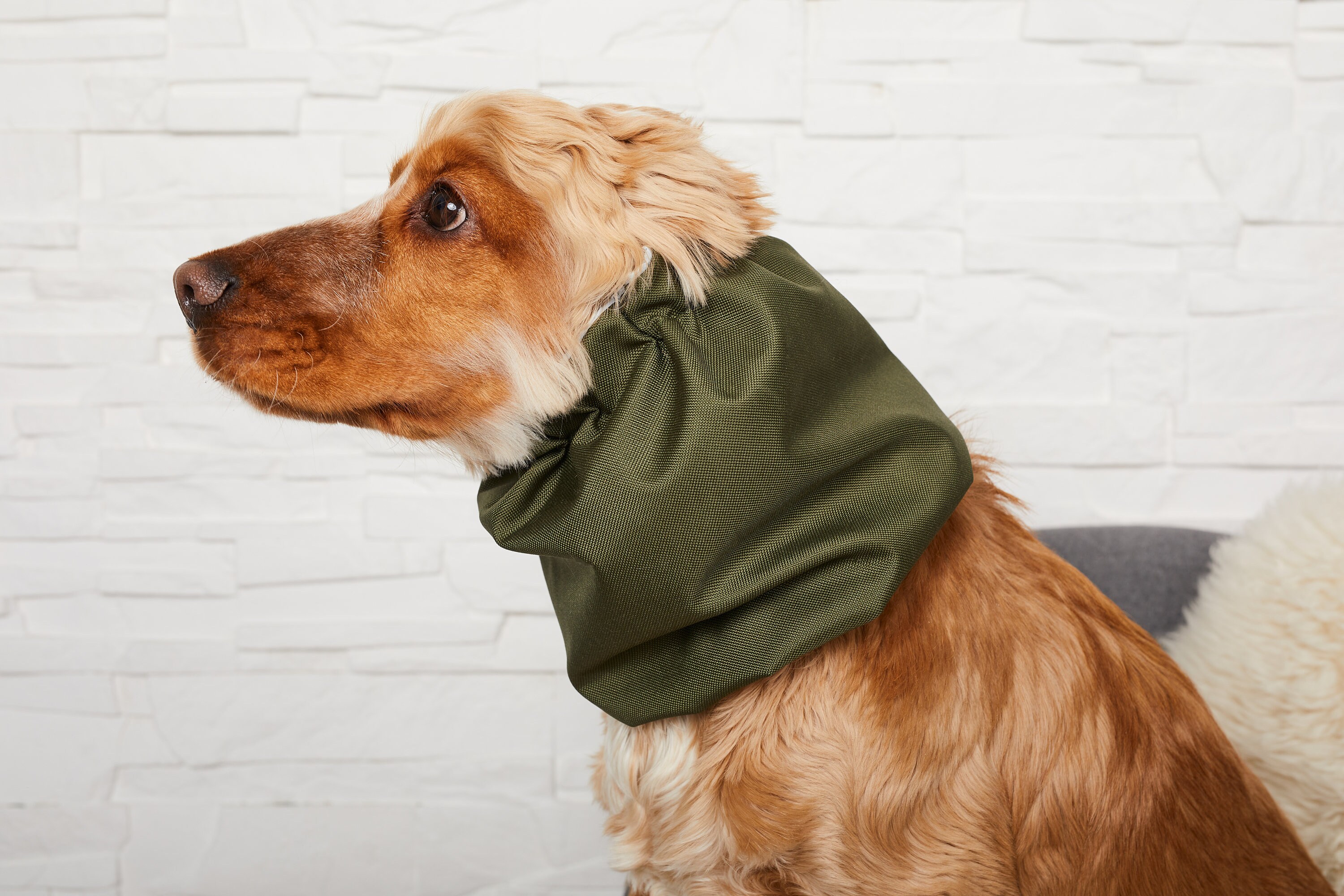 Waterproof Dog Snood Dog Snood Dark Green Dog Snood Dog Etsy