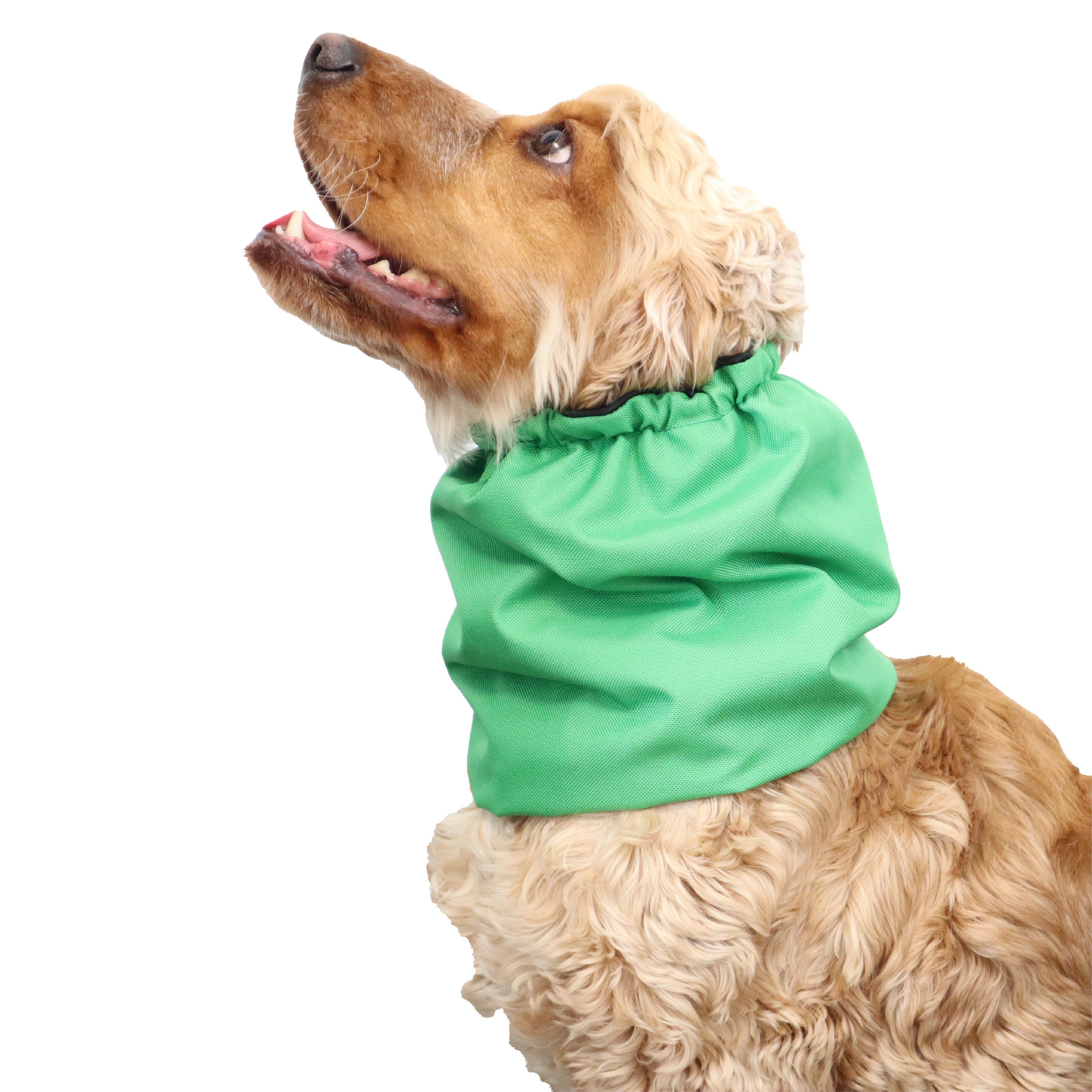 Waterproof Grass Green Dog Snood Cocker Spaniel Ear Cover Etsy
