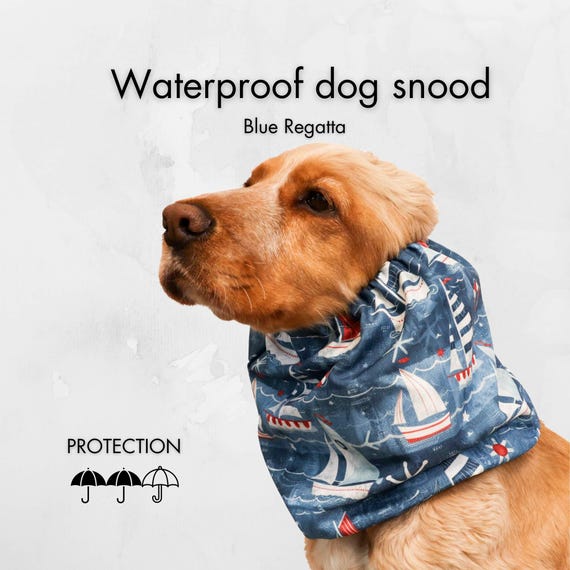 Waterproof Dog Snood Cavalier Snood Basset Hound Snood