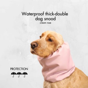 Waterproof Cream Rose Dog Snood | Thick-Double Cavalier Snood | Cocker Spaniel Snood | Springer Ear Cover | Poodle Ear Protector
