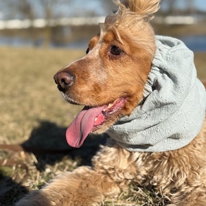 Mintgroene ademende mousseline hondensjaal | Katoenen zomersjaal cocker-spaniël | Basset | Afghaans | Cavalier | Zetter | Springer-oorkussentjes