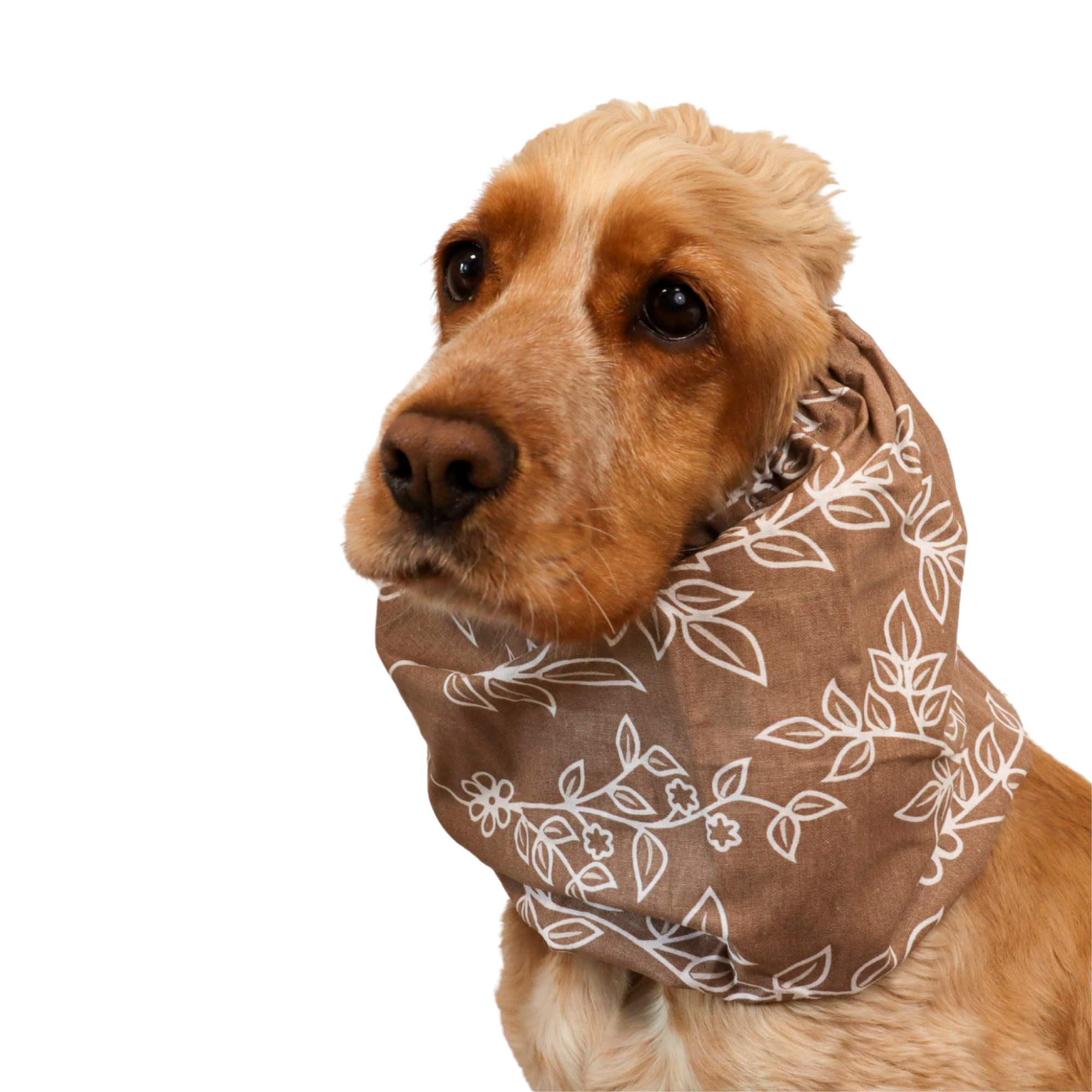 ベージュコットン製夏用犬用スヌード｜コッカースパニエル｜バセット