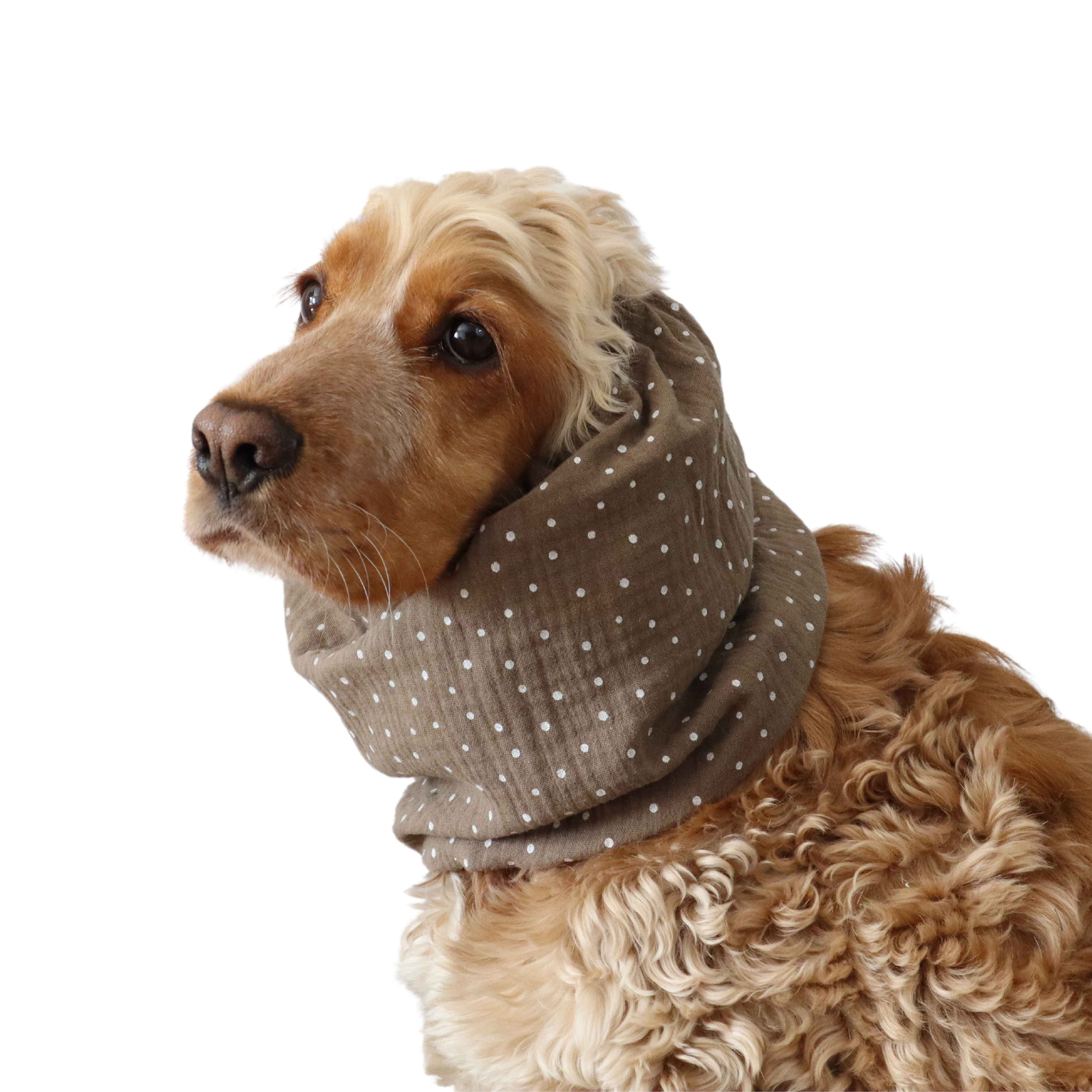 Cacao Breathable Muslin Dog Snood | Cocker Spaniel Cotton Summer Snood | Basset | Afghan | Cavalier | Setter | Springer Ear Cover