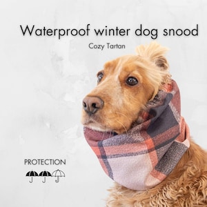 May include: A dog wearing a waterproof winter snood in a cozy tartan pattern. The snood is a mix of red, black, and beige. The image includes the text "Waterproof winter dog snood" and "Cozy Tartan".