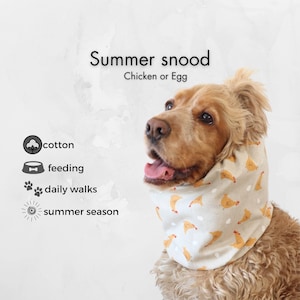 Może przedstawiać: Pies w jasnym snoodzie z wzorem żółtych kurczaków. Tekst na zdjęciu brzmi "Summer snood Chicken or Egg". Snood jest wykonany z bawełny i nadaje się do codziennych spacerów i na sezon letni.
