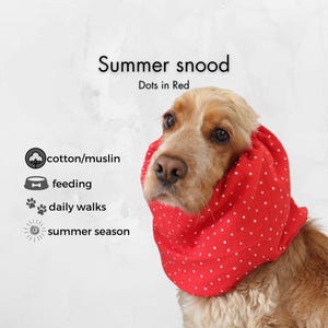 Könnte beinhalten: Ein Hund trägt einen roten Sommersnood mit weißen Punkten. Der Text auf dem Bild lautet "Summer snood" und "Dots in Red". Das Bild enthält auch Symbole für Baumwolle/Musselin, Fütterung, tägliche Spaziergänge und die Sommersaison.