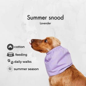 Cotton Dog Snood | Purple Dog Summer Snood | Basset Hound Snood | Cocker Spaniel Snood | Long Eared Dog Snood | Cavalier Ear Cover