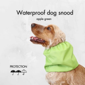 Waterproof Apple Green Dog Snood | Basset hound snood | Minimalistic dog ear protector | Cocker spaniel snood | Long eared dog snood