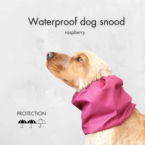 Tour de cou imperméable pour chien framboise | Snood cocker spaniel | Protecteur d&#39;oreille pour Basset Hound | Snood caniche