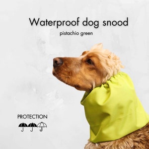 Waterproof Dog Snood | Pistachio Green Cocker Spaniel Snood | Basset Hound Snood | Springer Ear Cover | Setter Ear Protector