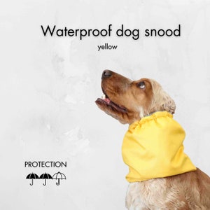 Waterproof Dog Snood | Yellow Cocker Spaniel Snood | Basset Hound Snood | Cavalier Snood | Springer Spaniel Snood | Dog Ear Protector
