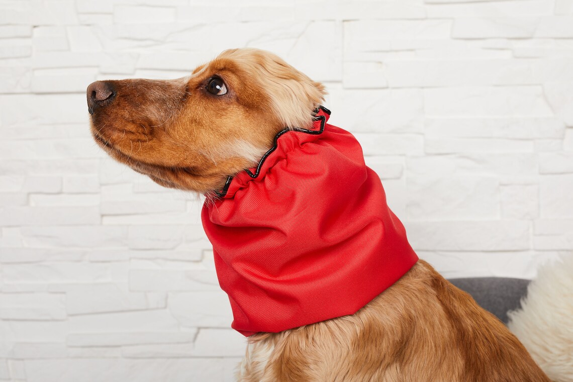 Waterproof dog snood caqwesample