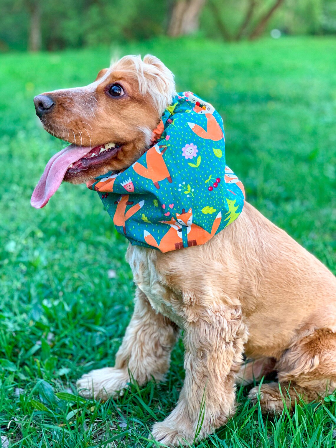 Cotton snood for dog summer dog snood cocker spaniel ear Etsy