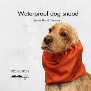 Waterproof Dog Snood | Cavalier Snood | Basset Hound Snood | Cocker Spaniel Snood | Dog Ear Cover | Dog Ear Protector | Poodle Snood