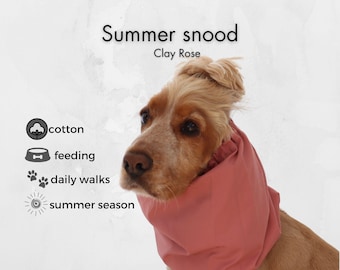 Protect Setter Ears from Dirt and Grass Seeds | Rose Cotton Walking Snood