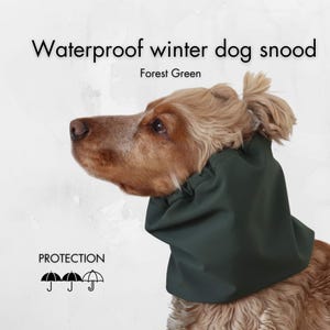 May include: A dog wearing a forest green waterproof winter snood. The image includes the text "Waterproof winter dog snood" and "Forest Green". The word "PROTECTION" is also visible, along with umbrella icons.