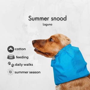Cotton Dog Snood | Laguna Blue Summer Snood For Dog | Cocker Spaniel Snood | Basset Hound Snood | Poodle Ear Cover | Setter Ear Protector