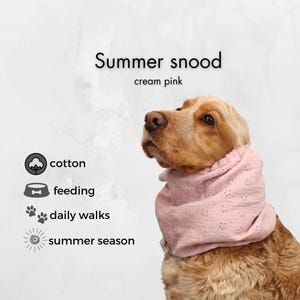 Cream Pink Breathable Dog Snood | Cocker Spaniel Cotton Summer Snood | Basset | Afghan | Cavalier | Setter | Springer Ear Cover