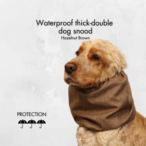 Waterproof Dog Snood &quot;Hazelnut Brown&quot; | Thick Cavalier Snood | Cocker Spaniel Snood | Springer Ear Cover | Poodle Ear Protector