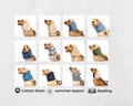 Cotton dog snood | Summer snood for dog | Cocker spaniel ear protector | Basset hound snood | Dog ear cover product logo