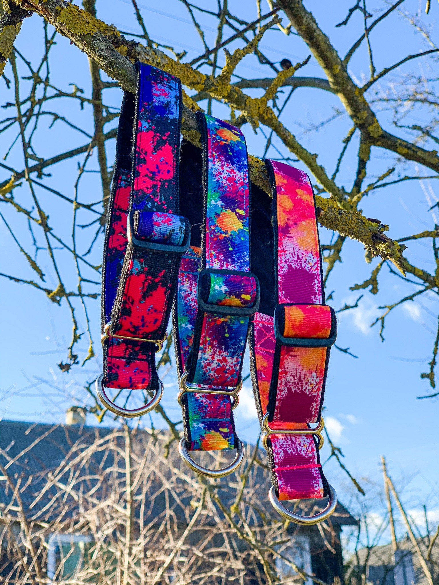 Handmade Y Front Dog Harness Bright Dog Harness Four Etsy