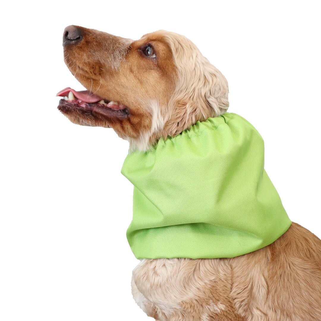 Coprimaterasso Per Trasloco - Impermeabile E Resistente | Con 8 Maniglie E Cerniera | Fino A 38 Cm Di Spessore - Foto 4