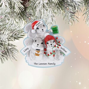 Squirrel Family Of 3 Personalized Christmas Ornament 2024 Forest Animals Ornament With Name Cute Woodland Family Of 3 Personalized Gift