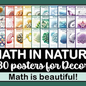 Mathe in der Natur Poster Set | Mathe Klassenzimmer Dekor | STEM Bulletin Board Idee | Mathe in der realen Welt Lernposter | Regenbogen Dekor