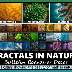May include: A poster set titled "Fractals in Nature" featuring 36 images of natural patterns. The images include frost patterns, aloe succulents, coastlines, and other natural phenomena. The text reads "Bulletin Boards or Decor".