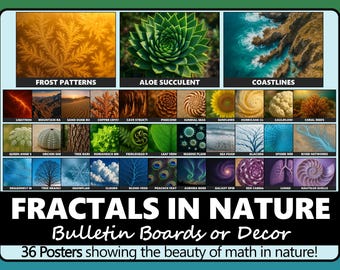 Fractals in Nature Poster Set: Math & Science Classroom Decor (PDF Download Set of 36)